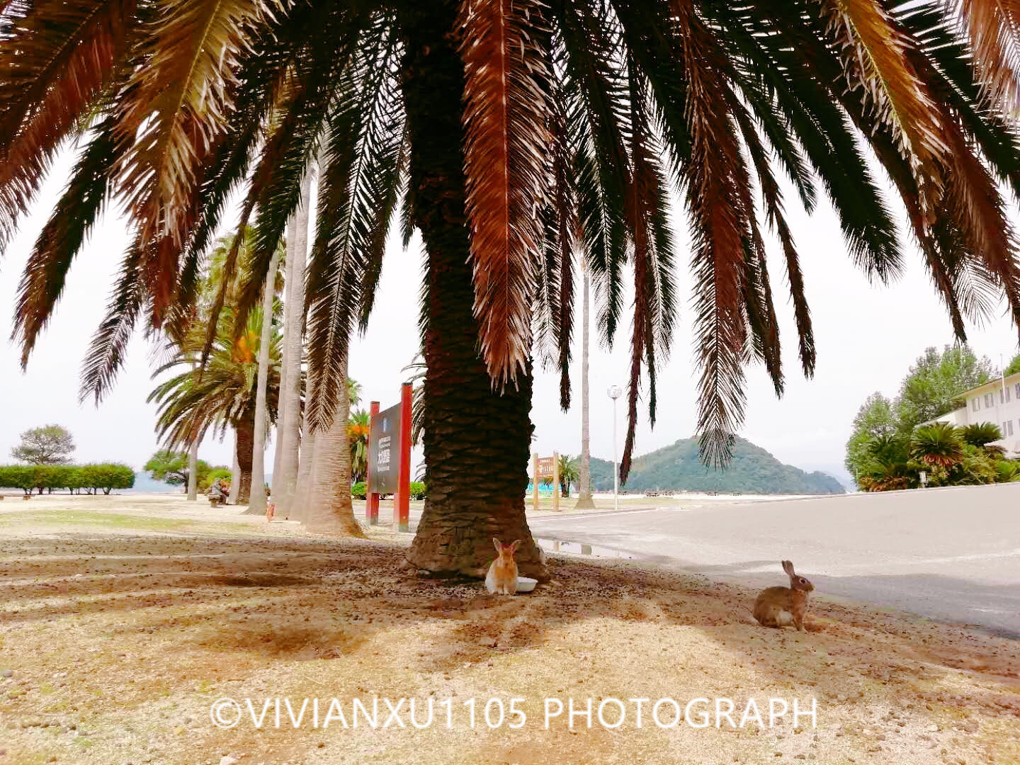 日本下关和广岛,发现不一样的风景