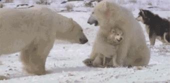 揭秘互联网比较常见的网赚骗局,知识分享割韭菜新套路