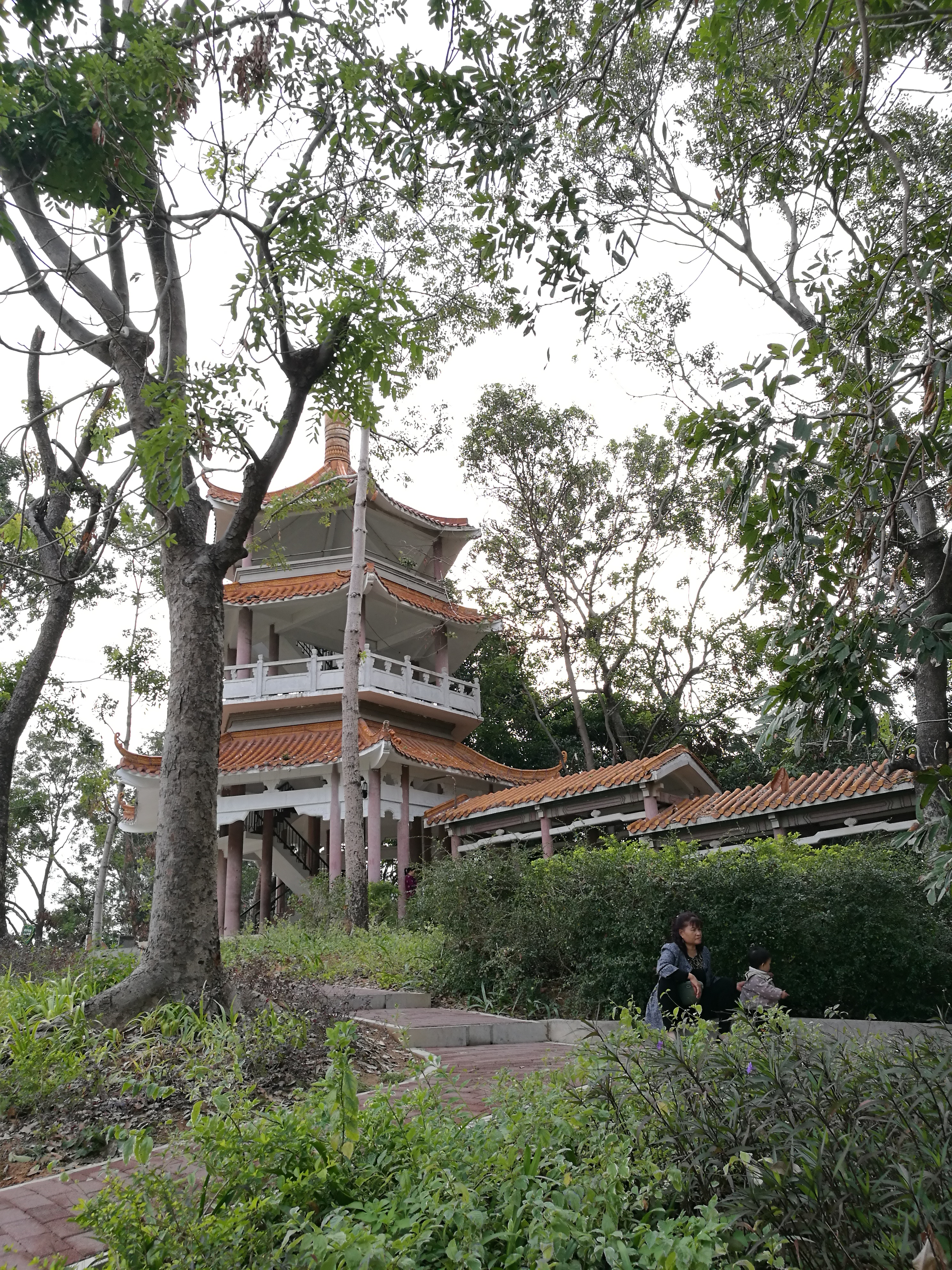 平安夜偶遇第一场雪,平安夜偶遇生日