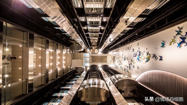 皇家加勒比邮轮量子号新加坡出发,皇家加勒比海洋量子号邮轮之旅