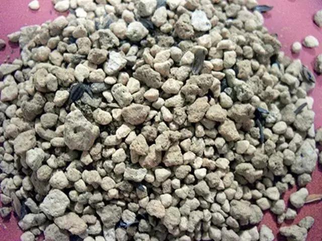 多肉创意土和多肉土的区别,养多肉最实惠的土是什么土