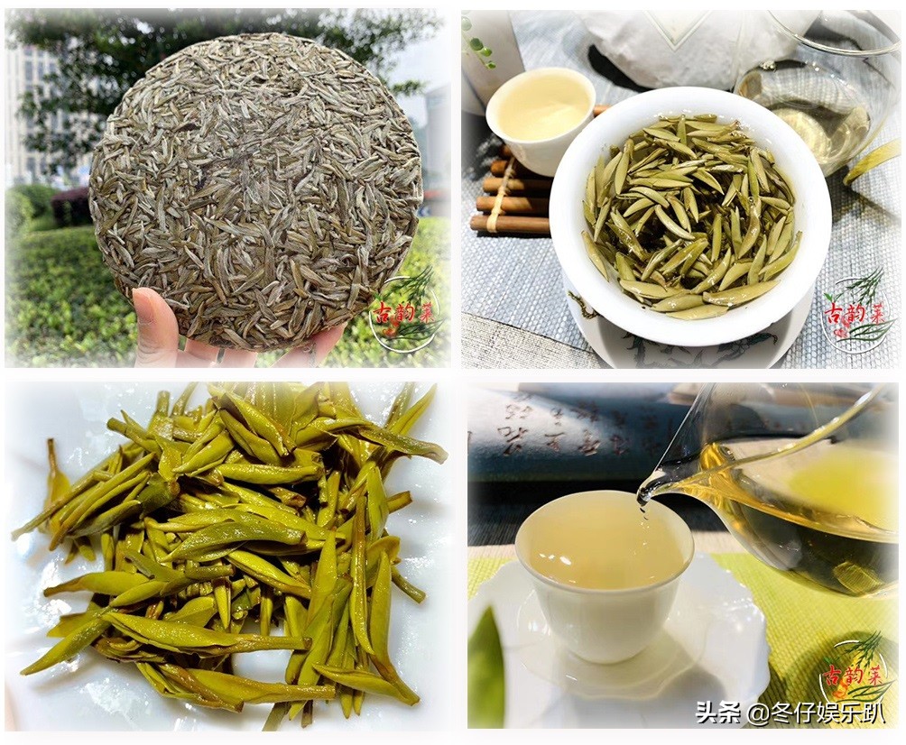 关于白茶的六大谣言,白茶过曝