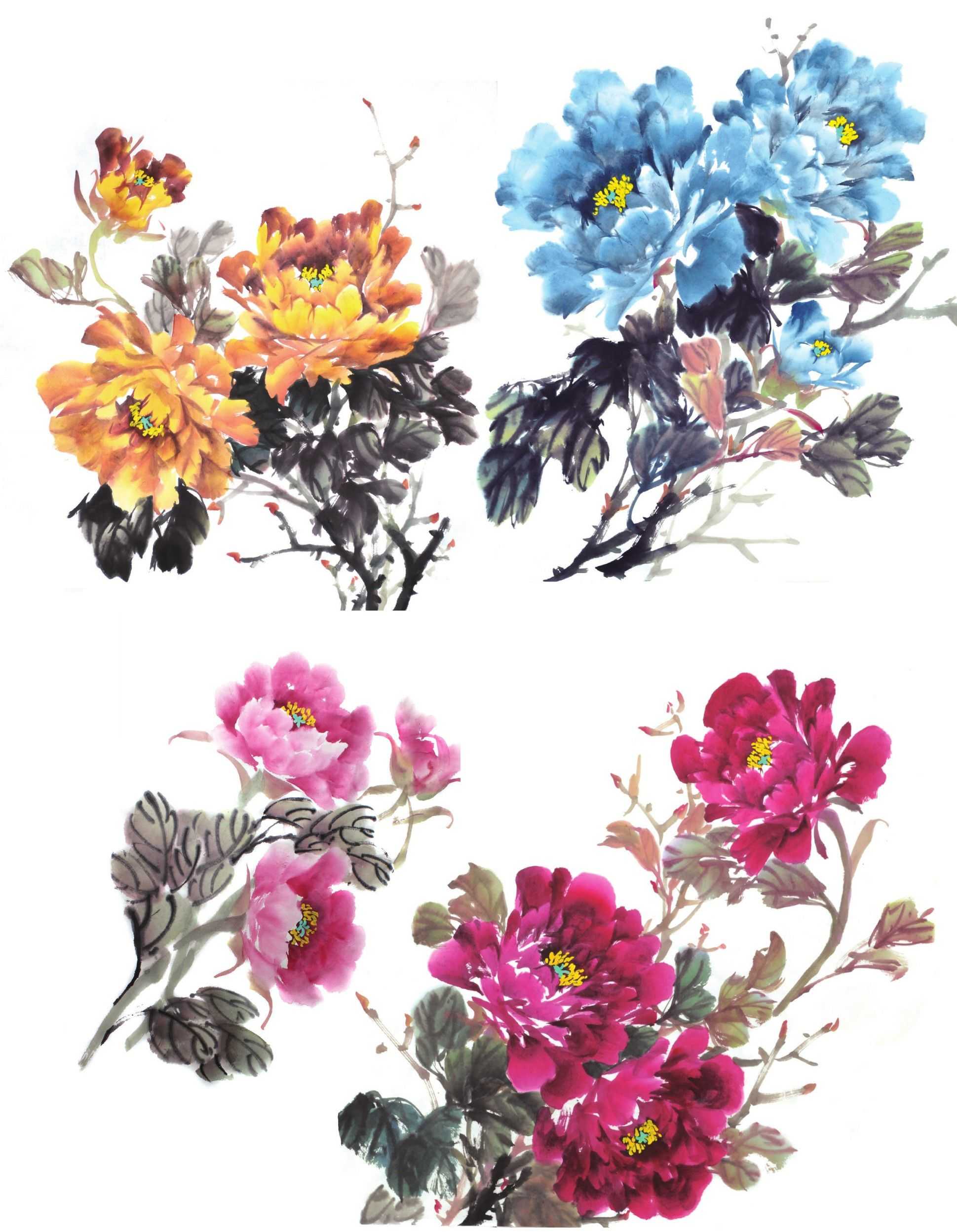 国画零基础牡丹画法步骤图解,国画零基础入门教程牡丹的画法