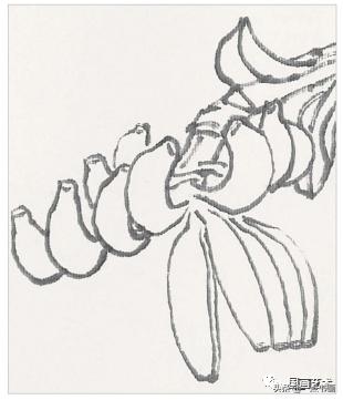 芭蕉叶画法教程,国画芭蕉画法视频