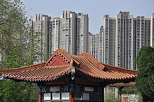 洛阳是一个多美的城市,洛阳是怎样的城