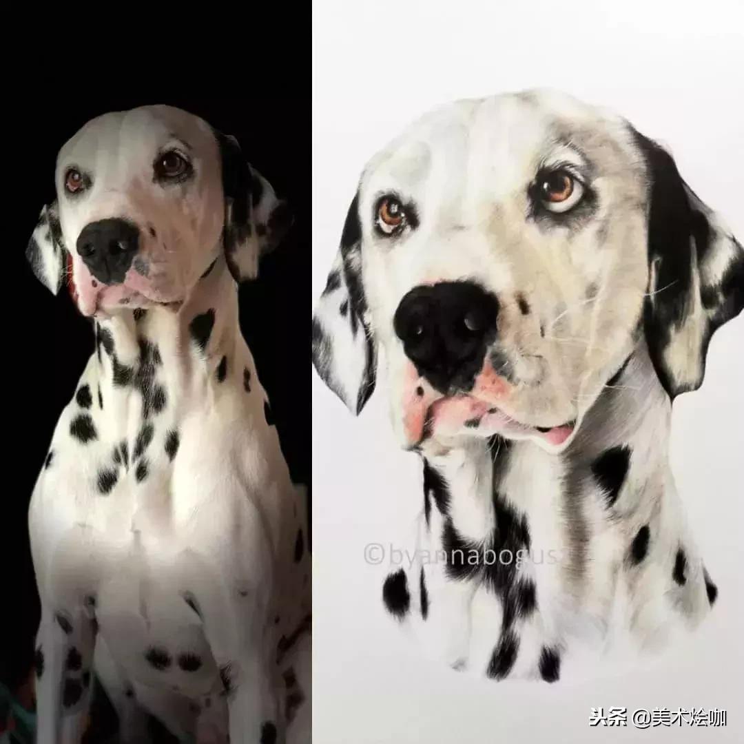 彩铅画教程超写实零基础入门,超写实彩铅画高清大图水果组合