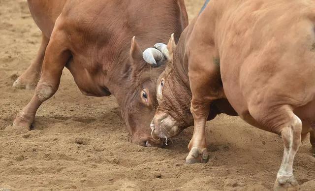 那些年足球名场面,那些年国足牛逼时刻