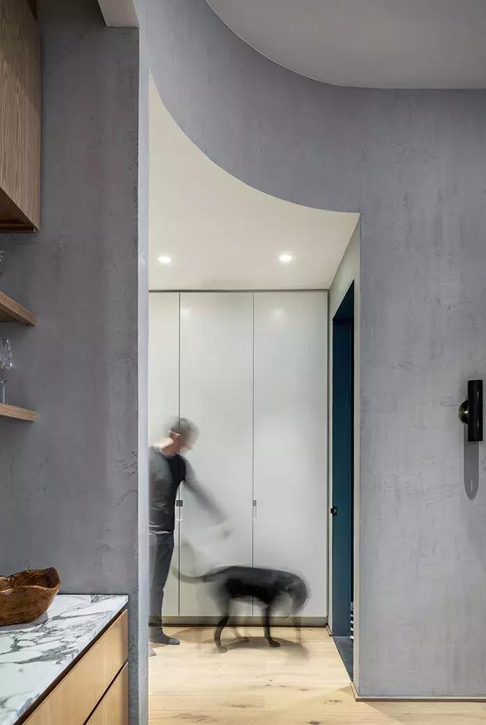 成都大树装饰简介,成都大树装饰装修套餐