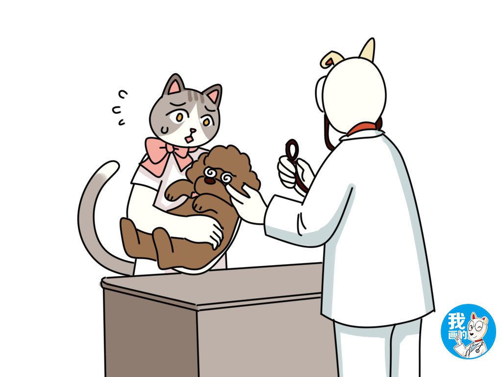 狗狗口渴的表现,狗狗喝水量异常增多