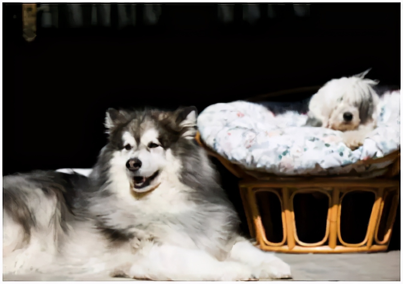 长沙街上到处走走,八一路长沙