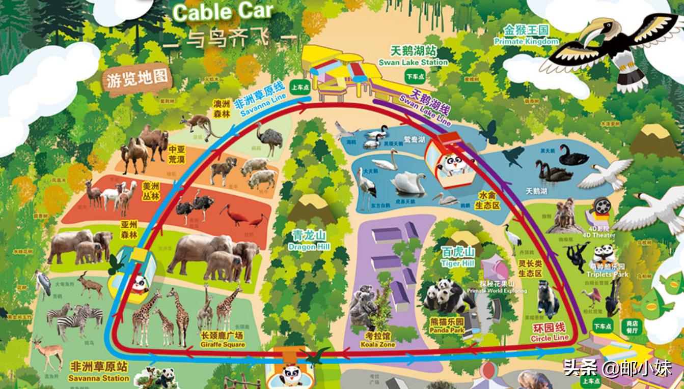 广州长隆自由行攻略三日游,2018广州长隆四天三晚攻略亲子游