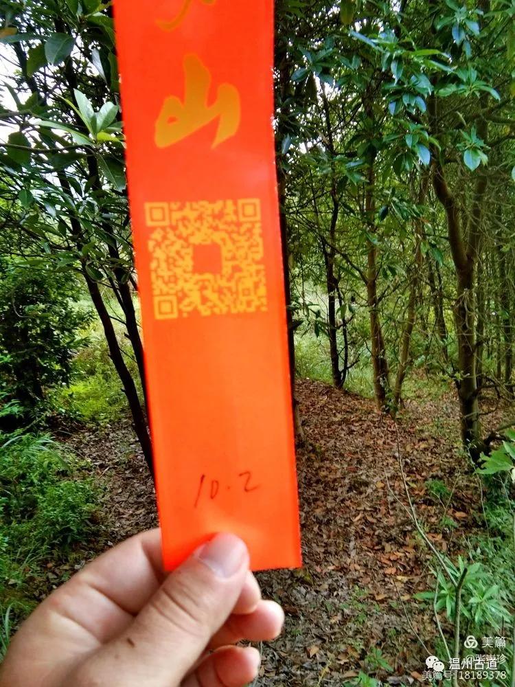 大罗山最佳爬山路线徒步,大罗山经典徒步路线55公里