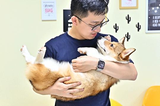 吸屁屁，短腿大耳肉嘟嘟，这家店进去就出不来了…