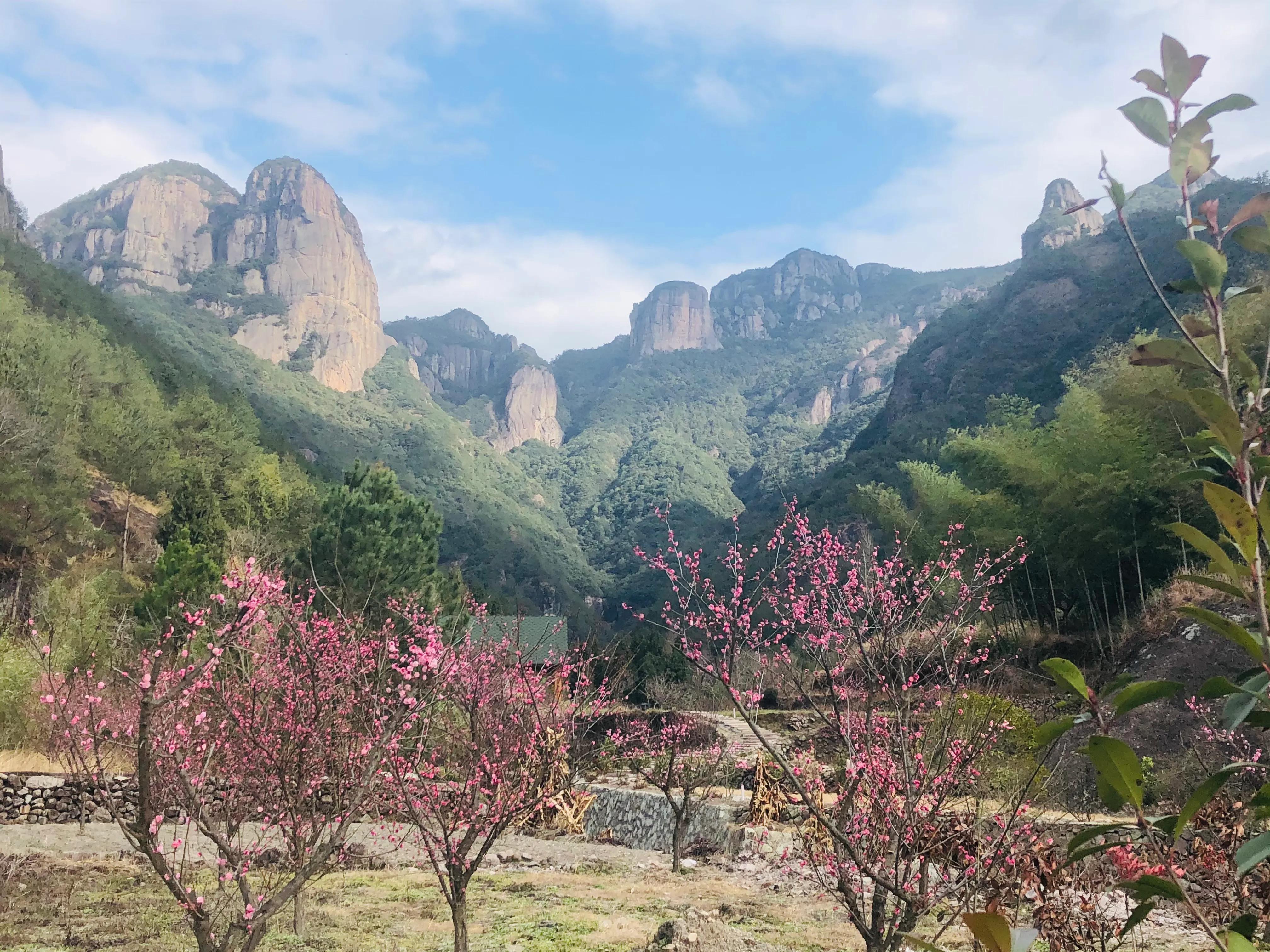 误打误撞进入传说中的八角金盘