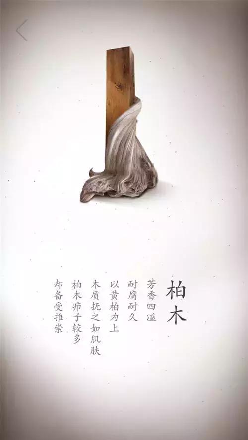 盘点木头！珍贵木材高清写真集