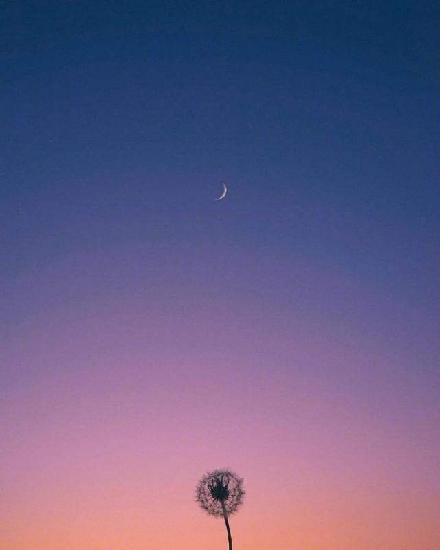 人生的格言句句精辟,最精辟的人生格言句句经典