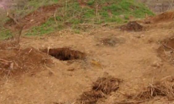 古墓宝藏之谜,墓室之谜完整版