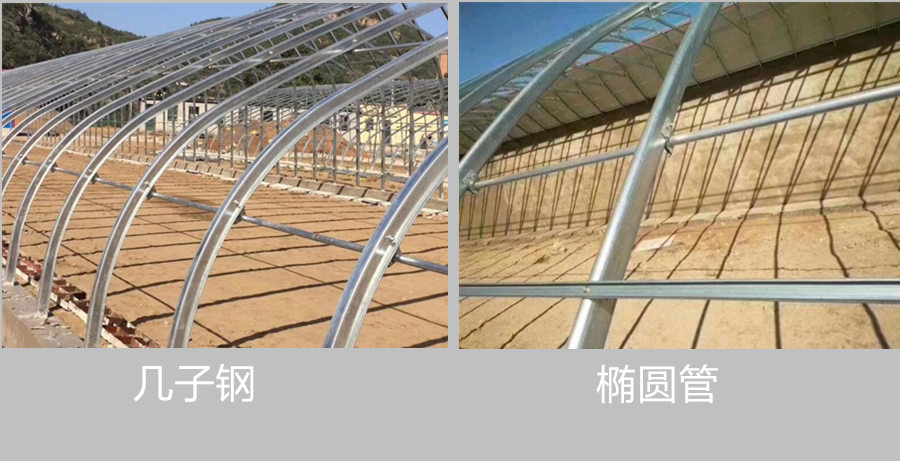 蔬菜种植日光温室时间,日光温室大棚种植什么比较好