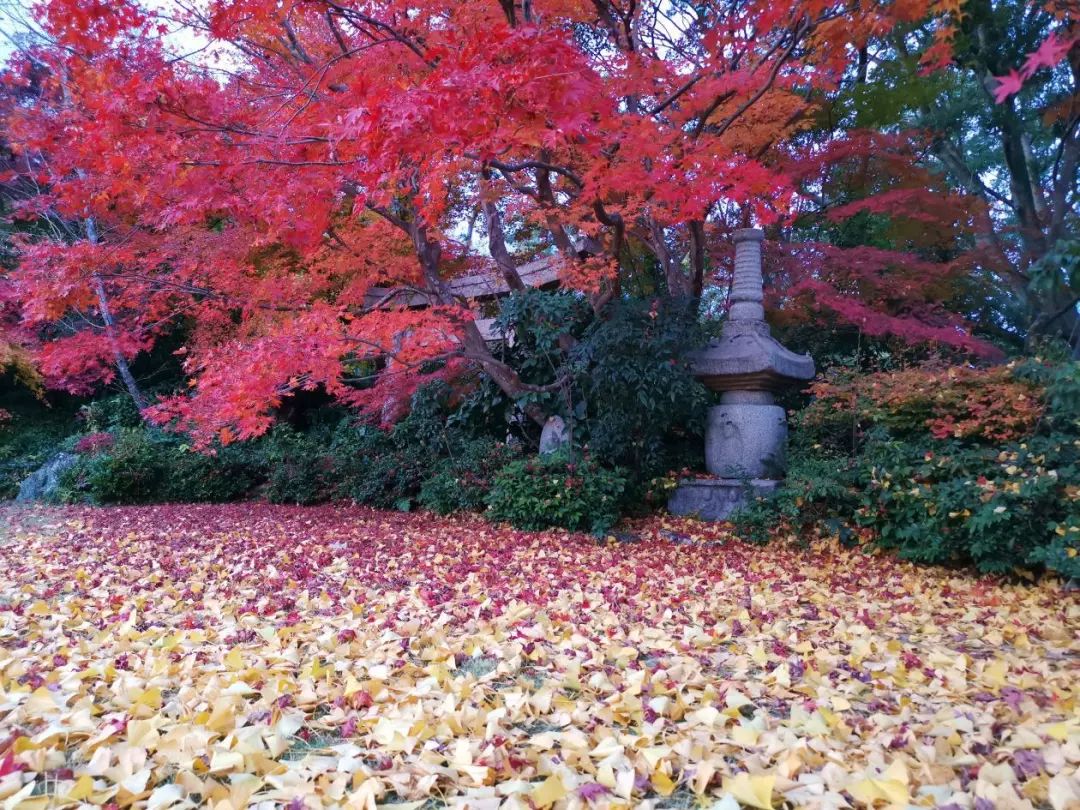 岚山哪有好玩的,日照岚山区值得去吗