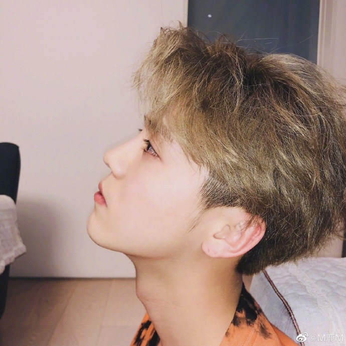 真爷们鹿晗这六年：初代流量沉浮往事