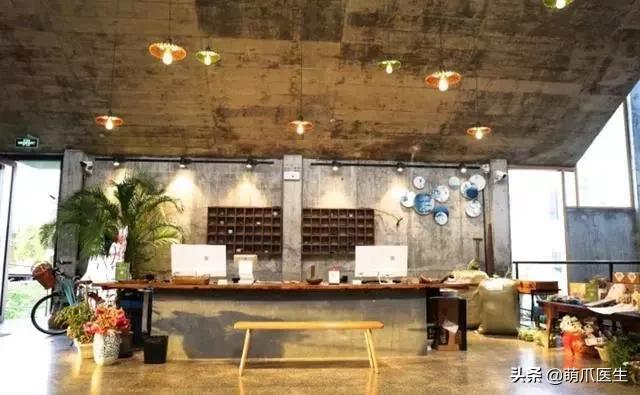 带宠物住宿酒店,带宠旅行酒店