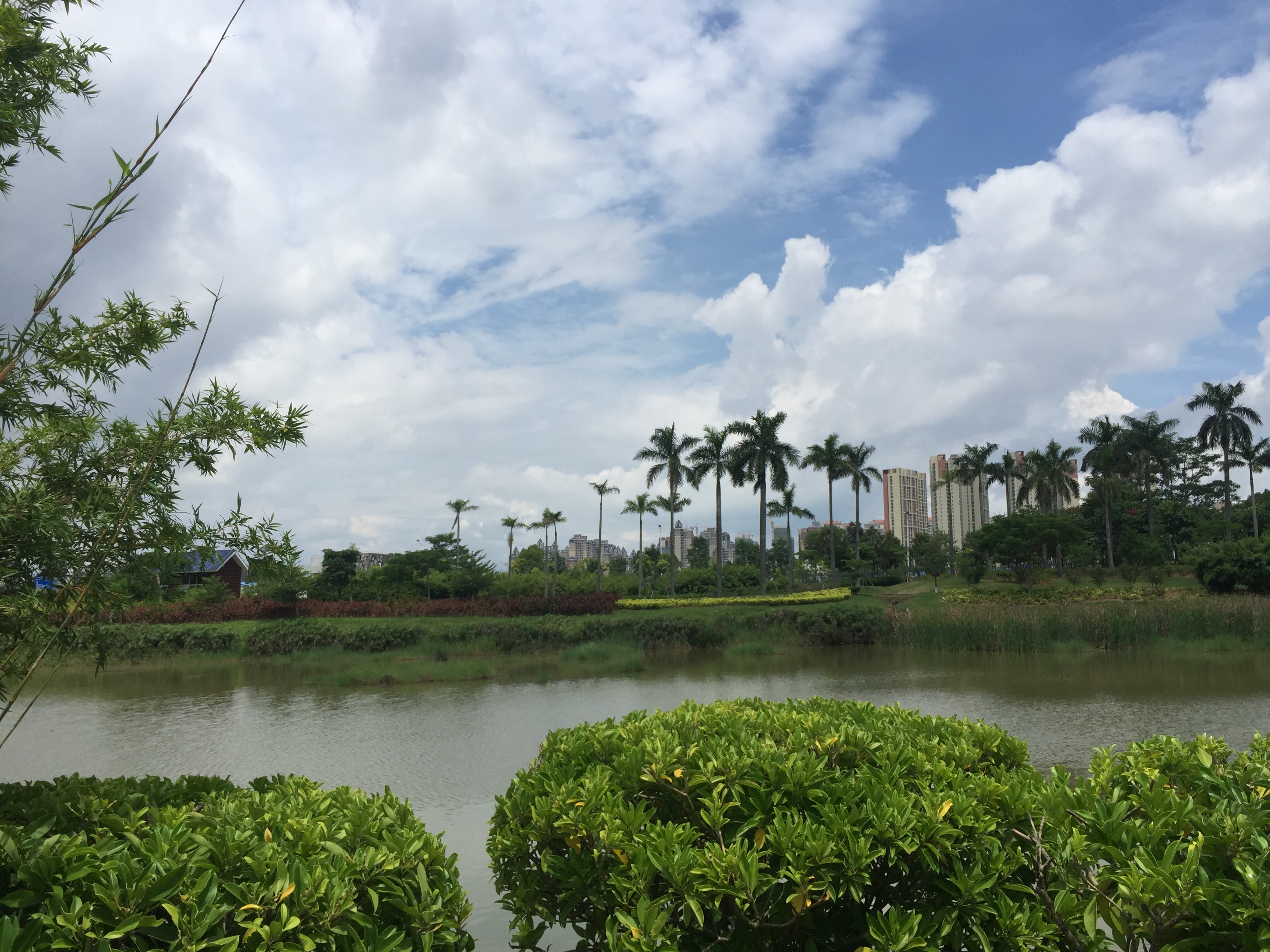 惠州大亚湾德洲城发展,大亚湾德洲城环境