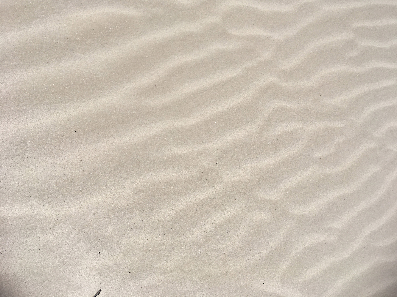 设计师福利模板,设计师必备100件用品