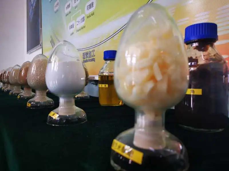 走向我们的小康生活非遗篇,走向我们的小康生活科普