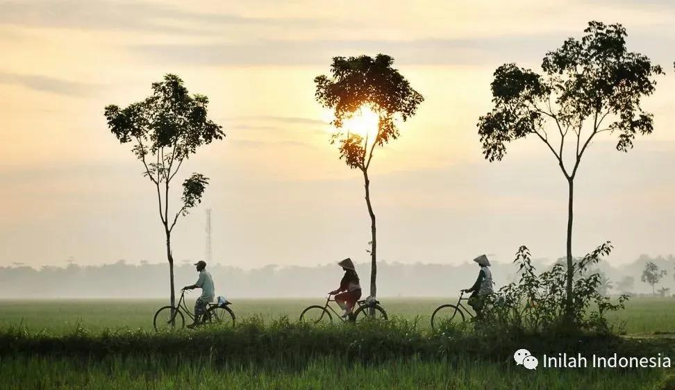 荷兰是怎么统治印度尼西亚的,荷兰与印度尼西亚