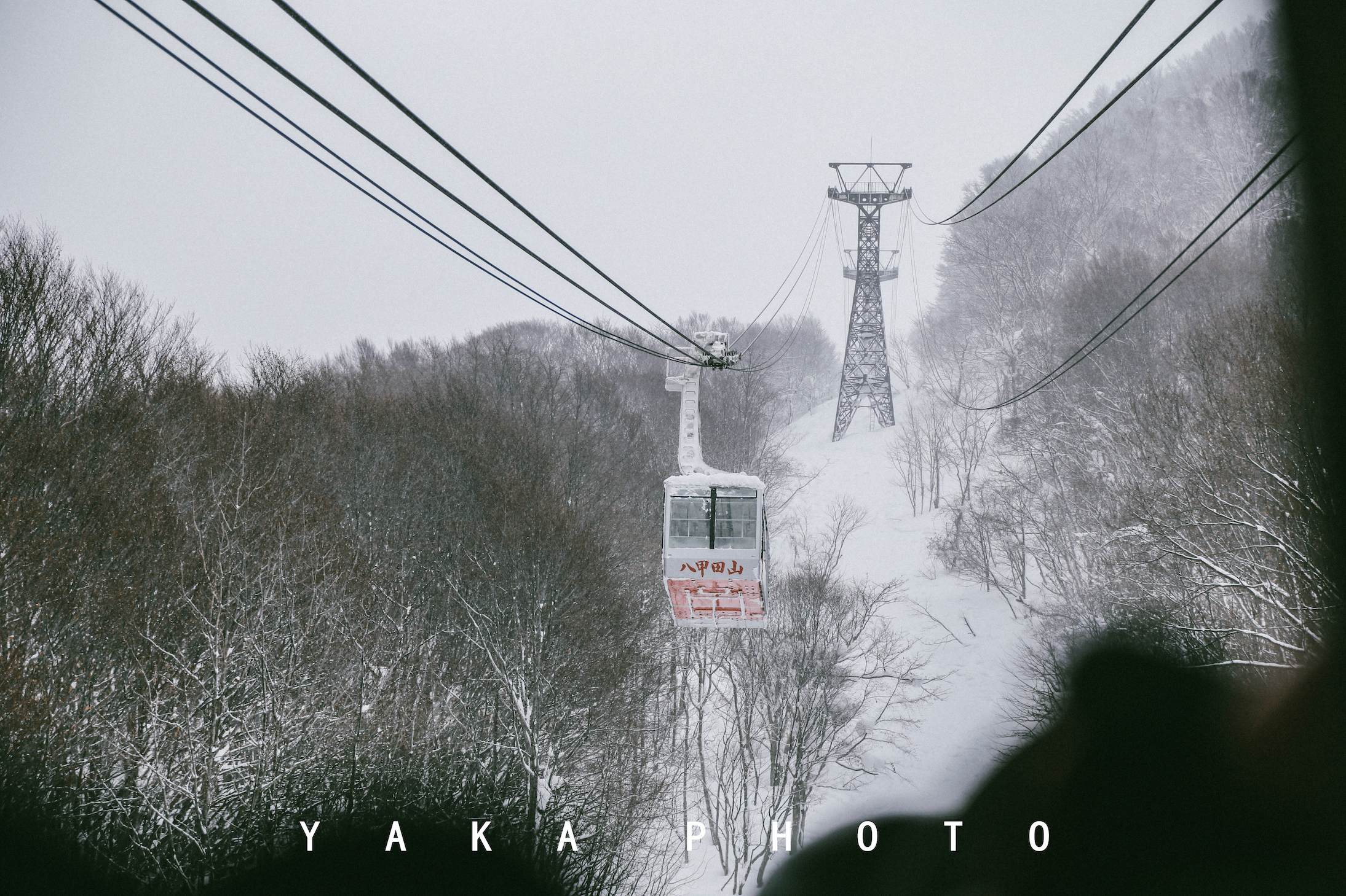 日本青森睡魔祭举办时间,日本的青森值得去么