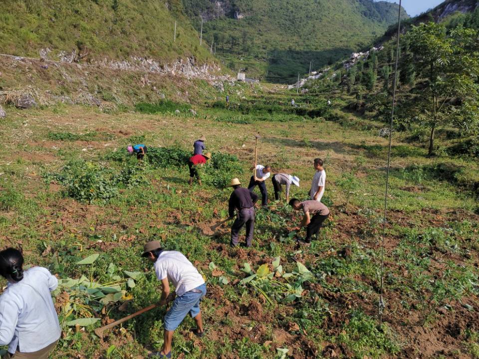 中国光彩事业基金会靠谱么,中国光彩事业基金会官网