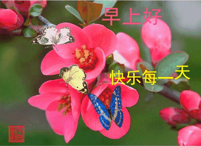 周一早安问候语表情,周一早上好问候语表情