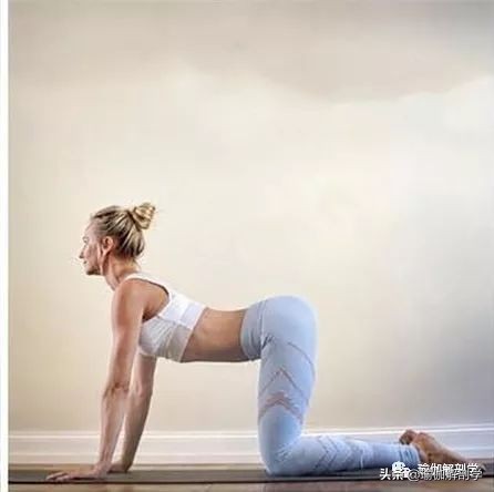 适合初学者练习的基础瑜伽动作,瑜伽基础拉伸初学者