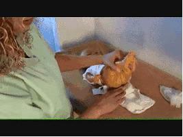 给宝宝换尿不湿的方法,给宝宝换尿不湿的正确方式