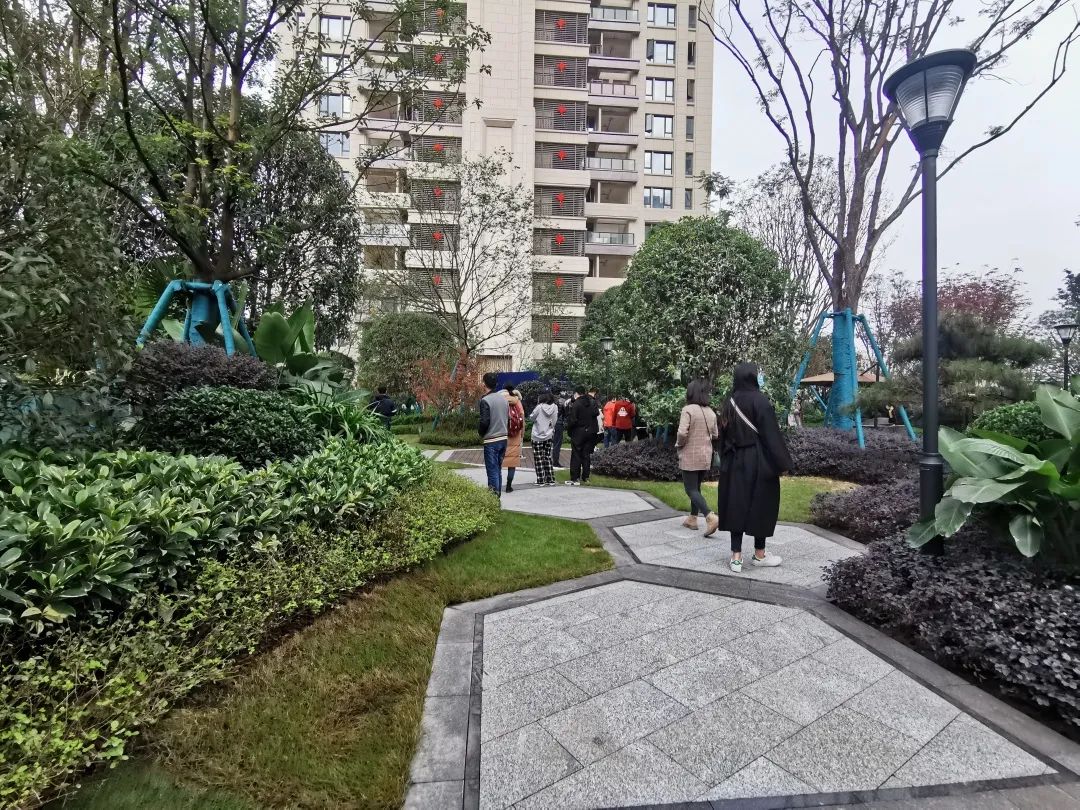 易境研学·重庆站|第二期