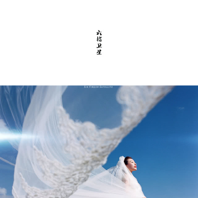 他们摄影,摄影师拍婚纱照油画