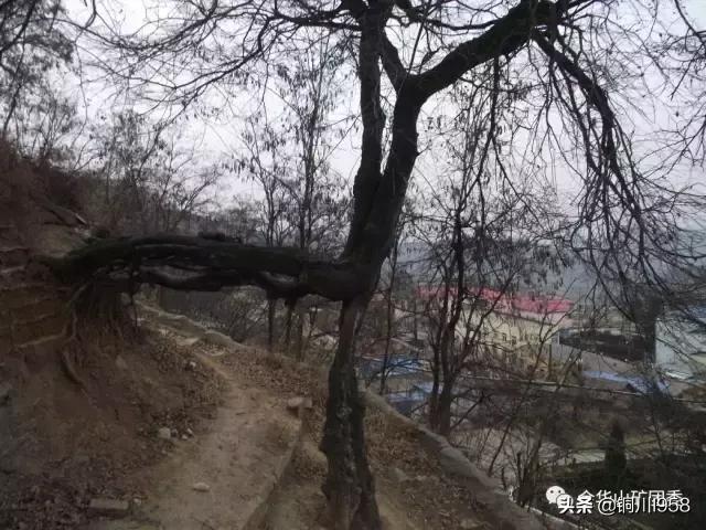 昔日的金华山煤矿,金华山煤矿