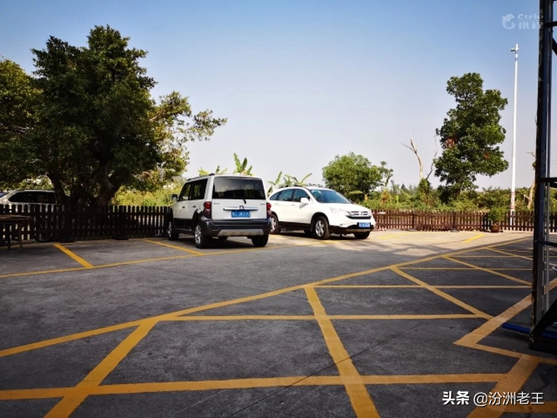 珠海铂金花园酒店,珠海松林花园主题民宿