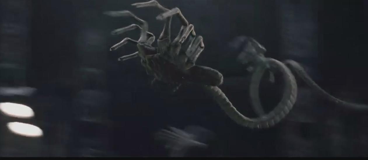 「推荐」《异形大战铁血战士》宇宙最强外星人之间的PK