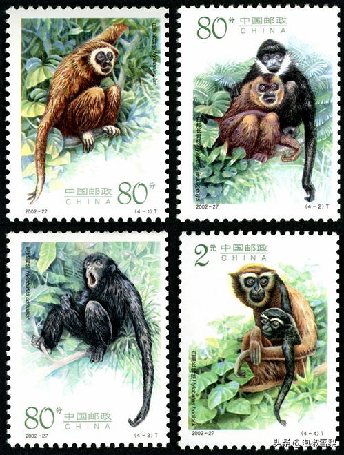 中国男足.七仙女.跆拳道.八大山人.聊斋｜2002全年邮票118张图片