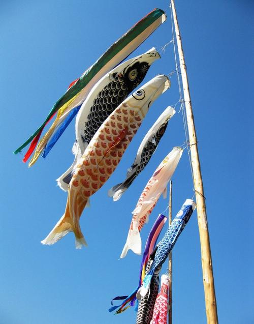 端午节的来历和端午节的习俗,端午节的传说和端午节的习俗