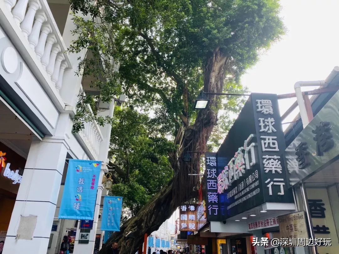 去香港买东西有必要去免税店买吗,去香港有必要逛免税店没