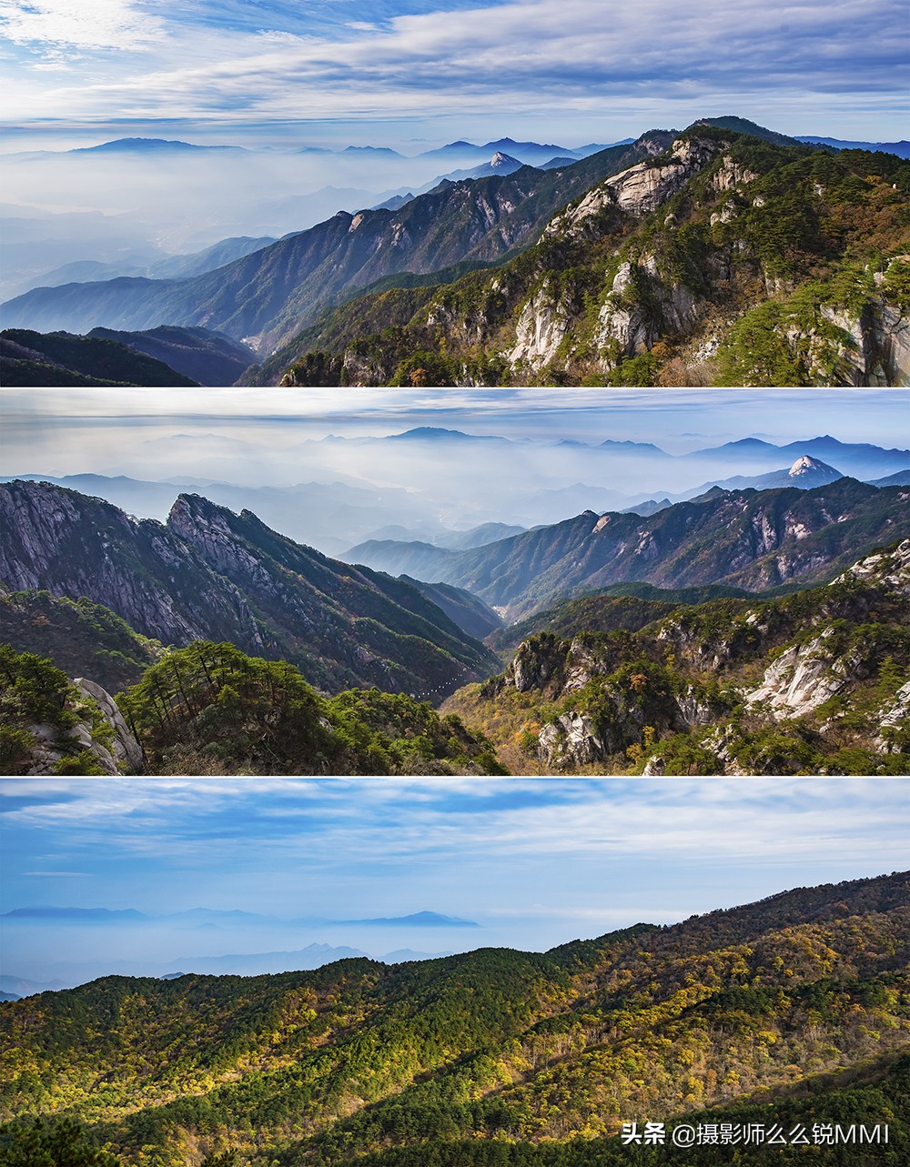 皖西大别山原始森林,华东最后一座原始森林