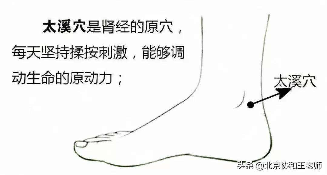 肾阴虚穴位,董氏奇穴治疗肾阳虚的穴位