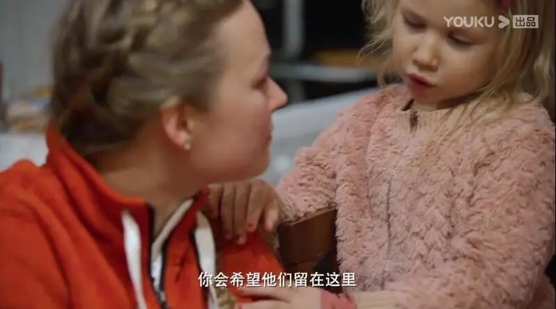 没作业的孩子,没有作业的孩子