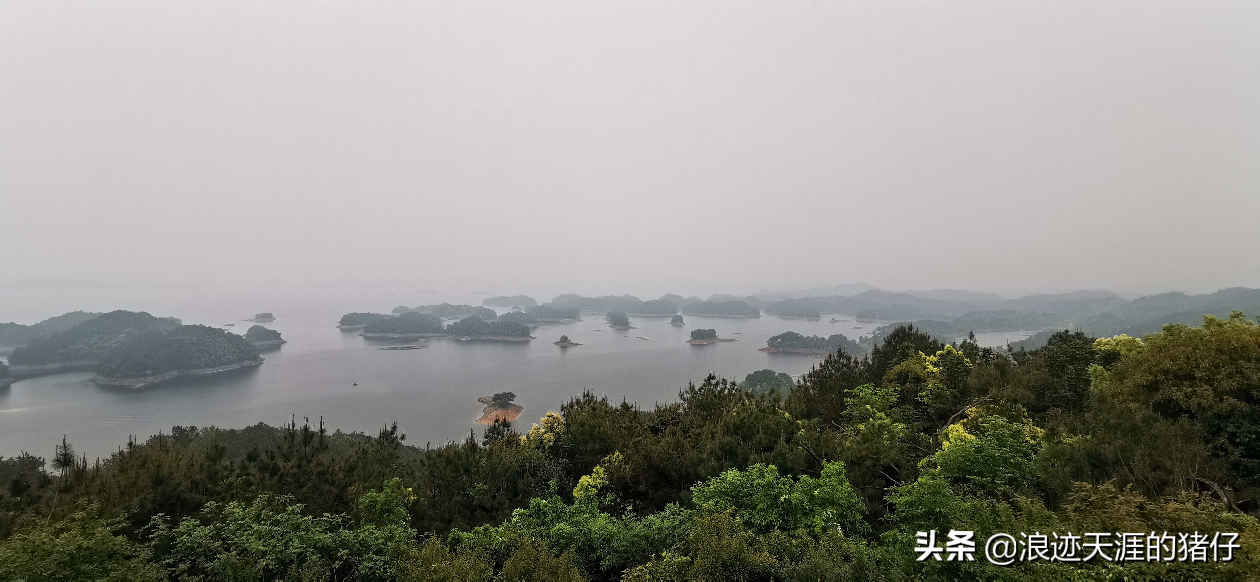 千岛湖疫情政策,千岛湖景区半价优惠