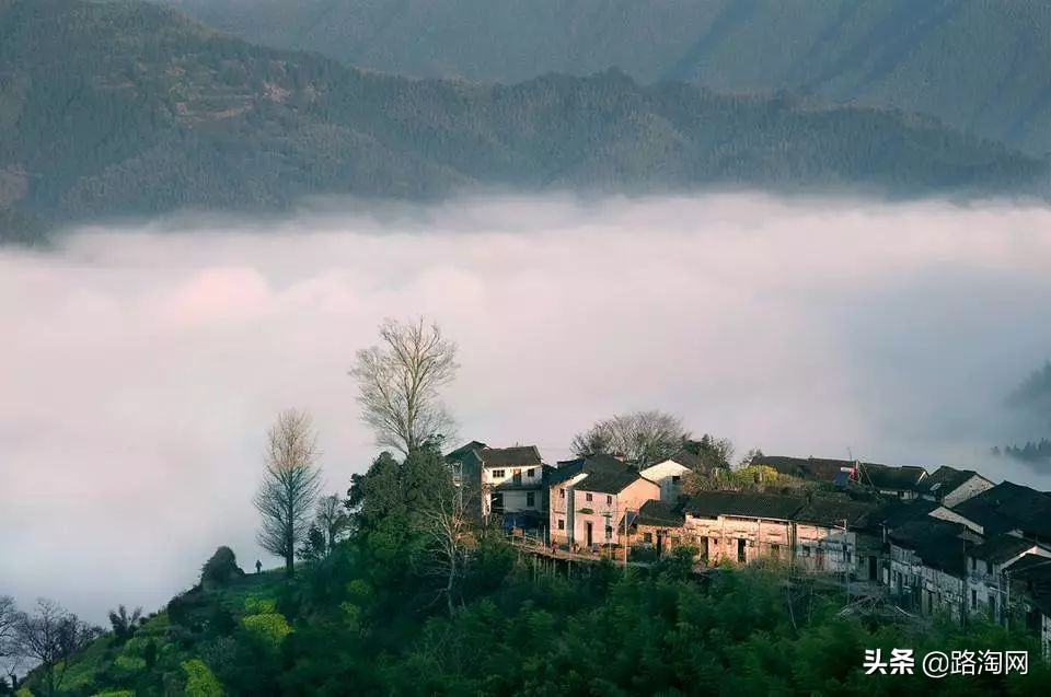 五一小长假结束再看一波各地美景,五一小长假去哪登山踏青看花好