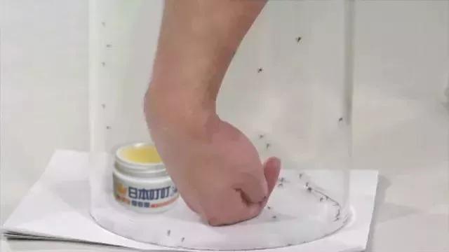 日本变态祛痘膏,日本蚊子药