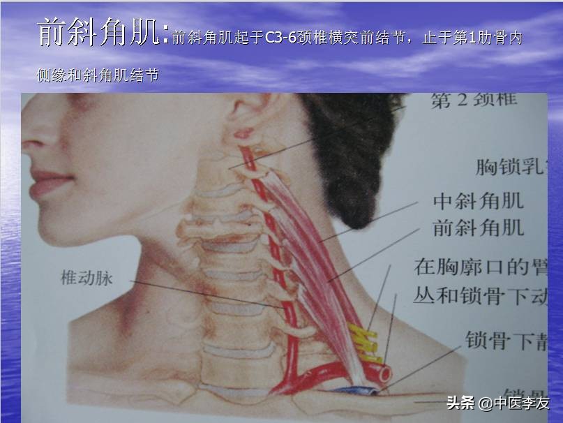 手麻不是脑梗也不是颈椎,手麻不只是颈椎的事儿