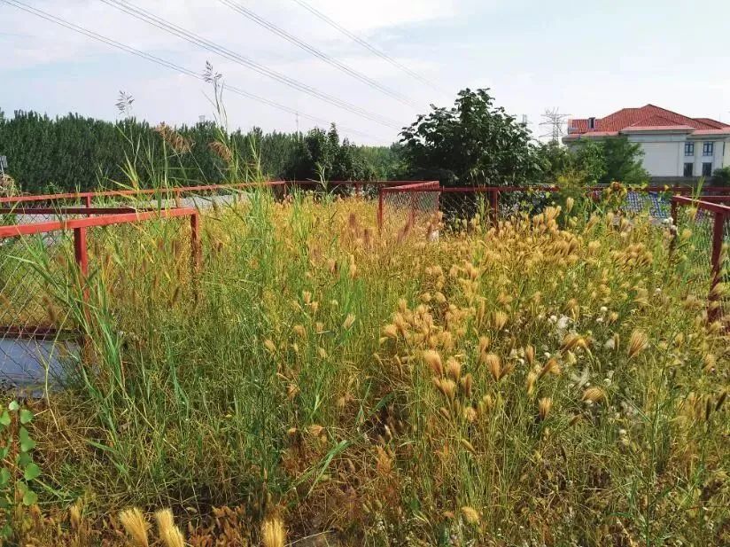 从楼顶看地面,从屋顶看故宫